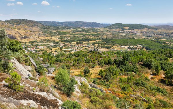 Quali sono i migliori metodi per ridurre l'ansia da esame nei studenti universitari?