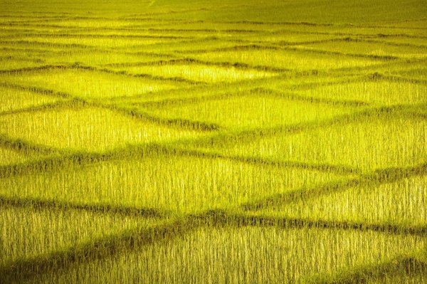 Come applicare le tecniche di miglioramento continuo Kaizen in un contesto ospedaliero?